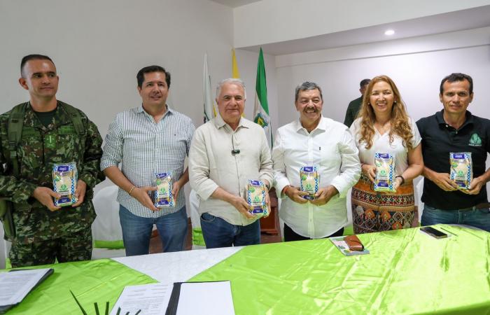 Huila’s rice sector is strengthened with the implementation of technology