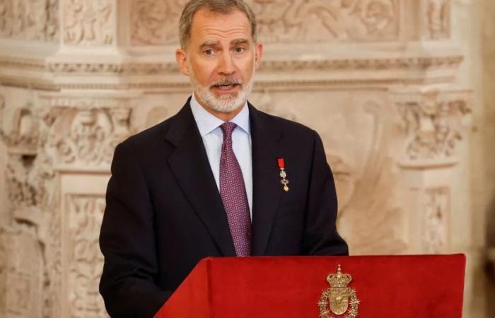 Felipe VI reaffirms his “commitment and loyalty” to the Spanish people despite the “personal cost” of his decisions on the 10th anniversary of his proclamation