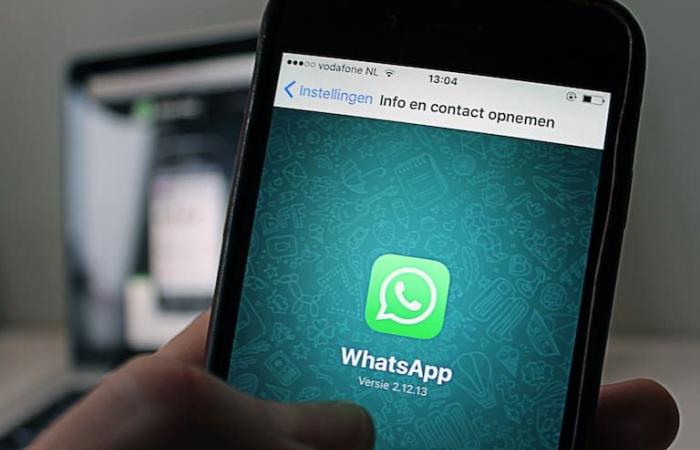 Install WhatsApp Plus: how to download the June APK