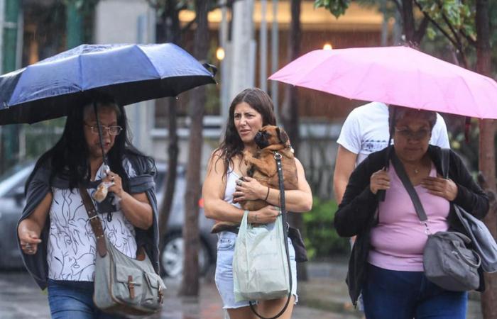 Light rain accompanied by electrical activity is expected today, June 19