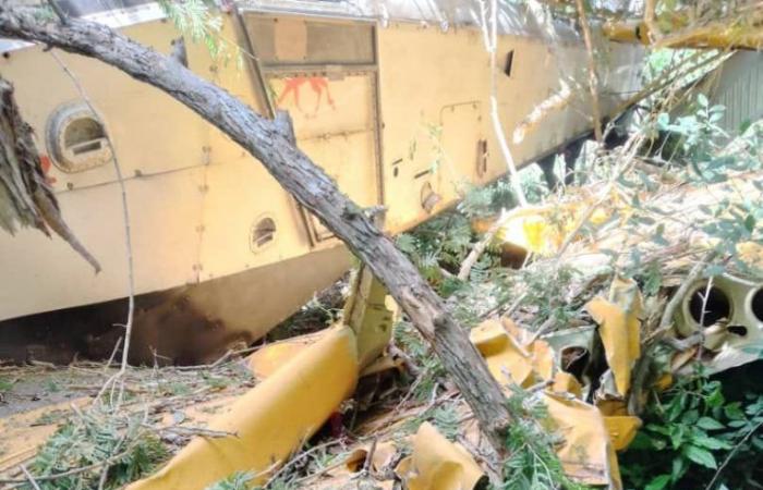 An agricultural plane crashes in La Sierpe (+photos) – Escambray