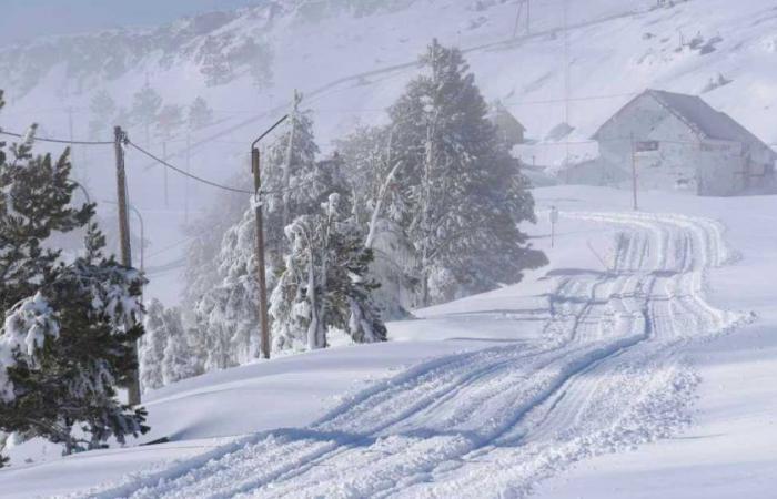 Where is there snow and how to enjoy it this weekend, in Neuquén