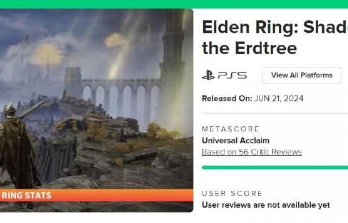 Elden Ring players are taught how you can meet the requirements to access the DLC in less than 30 minutes