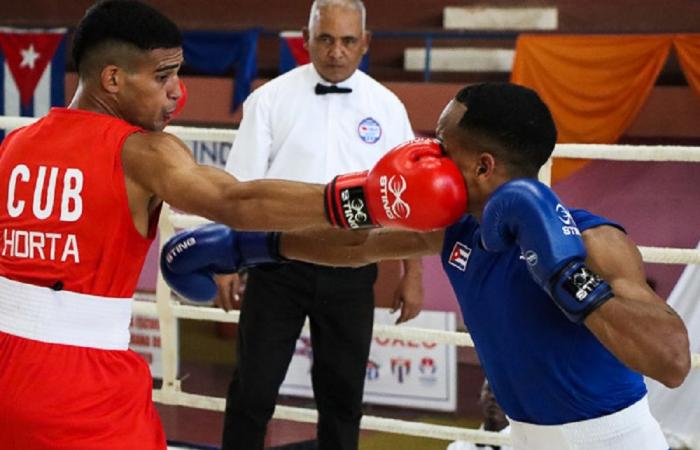 Boxing reaps laurels for the sport in Cienfuegos and Cuba