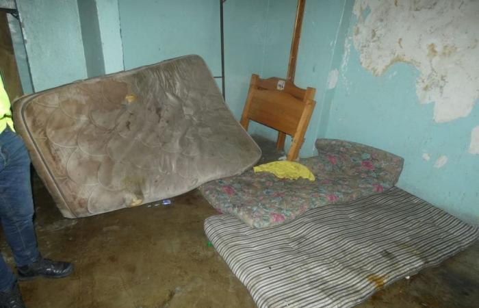 In Ibagué they close two lodging places because they found mice in the mattresses