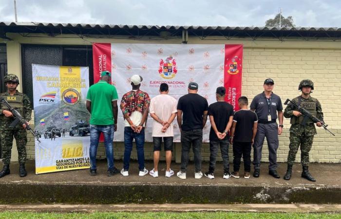 Eight members of the FARC dissidents surrendered in the south of Cauca