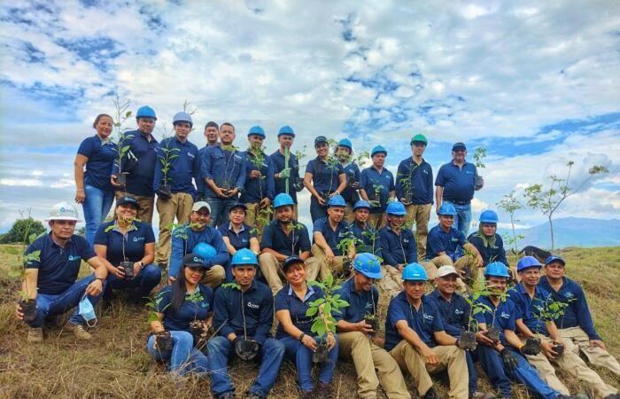QUINSA, reliability and innovation in Huila. • The nation