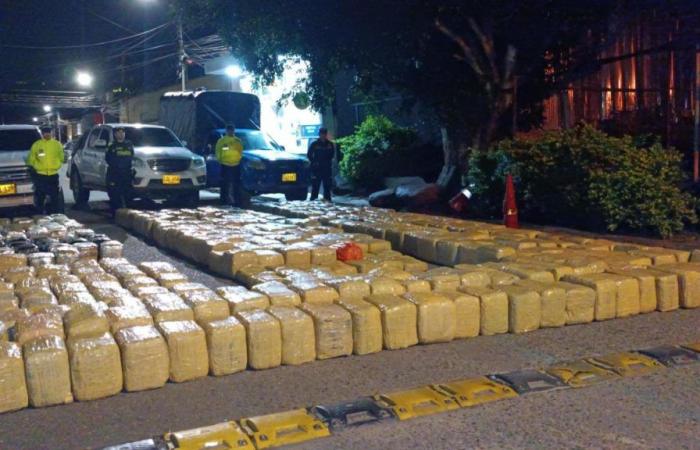 They seize more than a ton and a half of marijuana in Huila