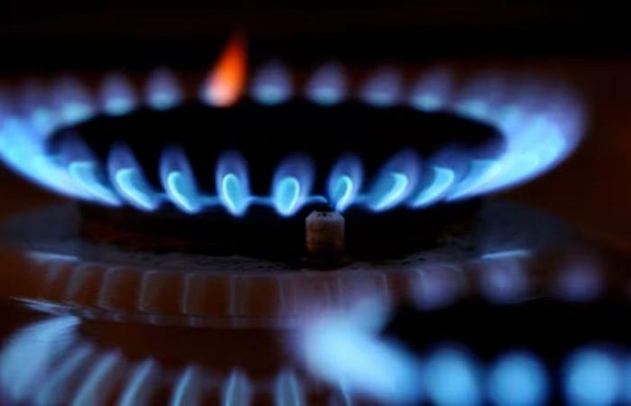 Ecogas asked to restrict gas consumption in homes to the maximum