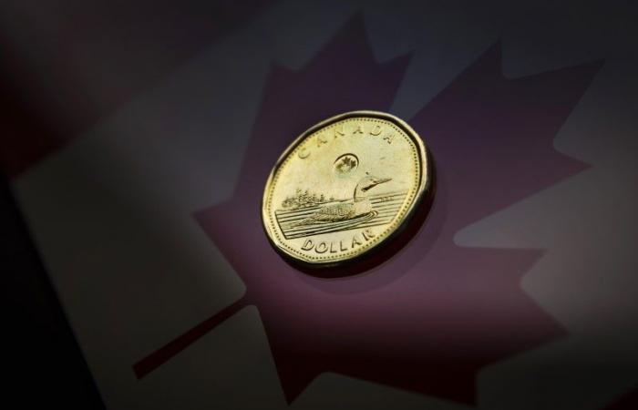 CANADIAN DOLLAR – Canadian dollar stabilizes ahead of big options expiry