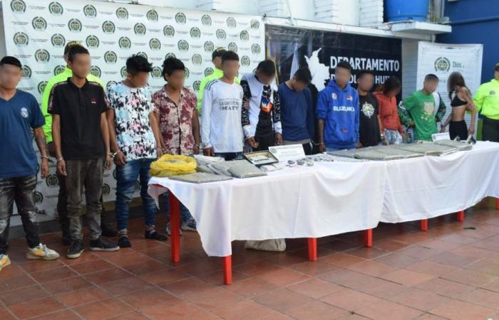 15 alleged perpetrators of drug trafficking captured in La Plata, Huila