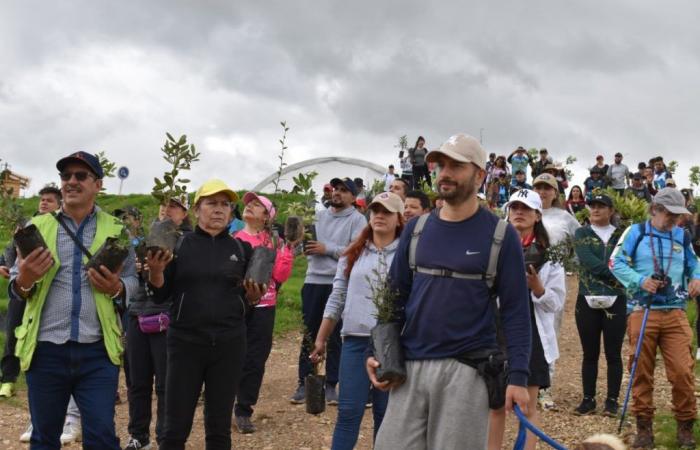 Urbaser carried out a walk and planting of native trees in Oicatá