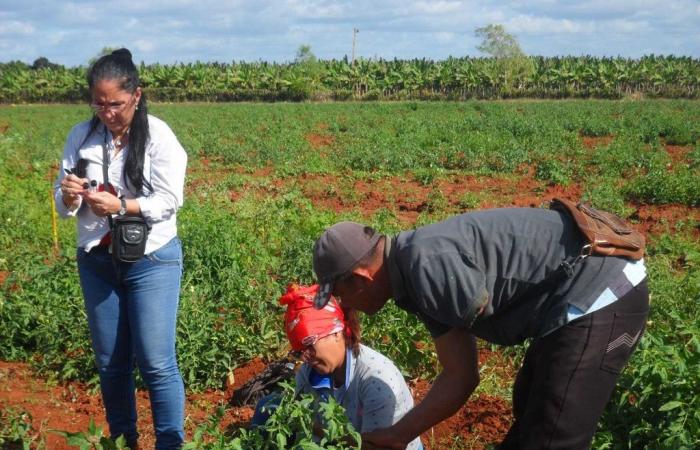 Cienfuegos Institution leads studies in terrestrial ecosystems