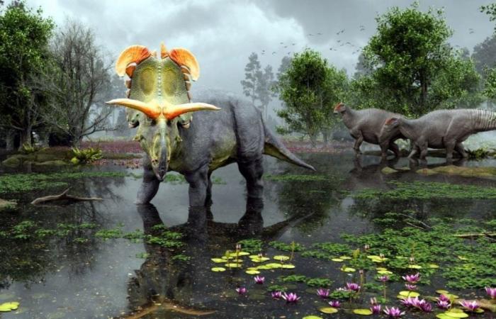 Unheard of find: new herbivorous dinosaur with very extravagant horns