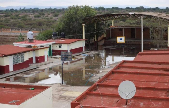 Rains show deterioration in Graciano Sánchez primary school – El Sol de San Luis