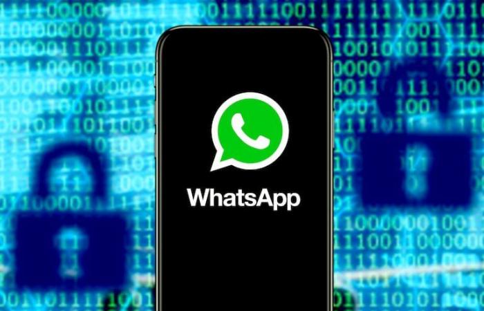 This is the secret button that you have to activate in WhatsApp so that they do not spy on you