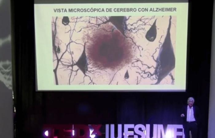Group from the University of Antioquia presents progress to delay the onset of Alzheimer’s