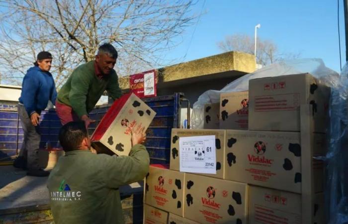 They distributed more than 5 thousand boxes of milk from Human Capital in cafeterias in Neuquén