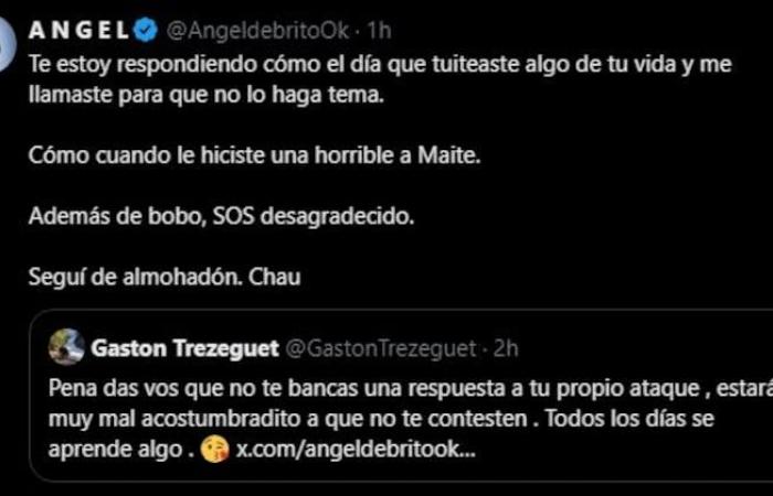 Gastón Trezeguet crossed Ángel de Brito without a filter on the networks, after the elimination of Furia from Big Brother: “Get off the pony”