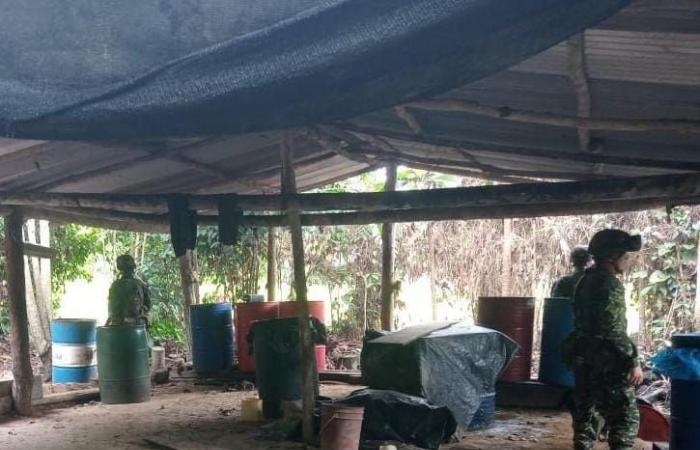 Army destroyed two new coca laboratories in San José de Uré, south of Córdoba