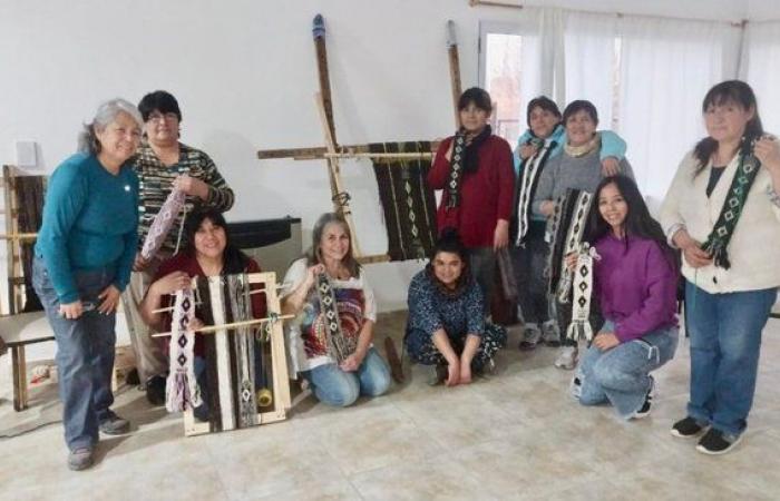 Province provided training on Worked Mapuche Loom