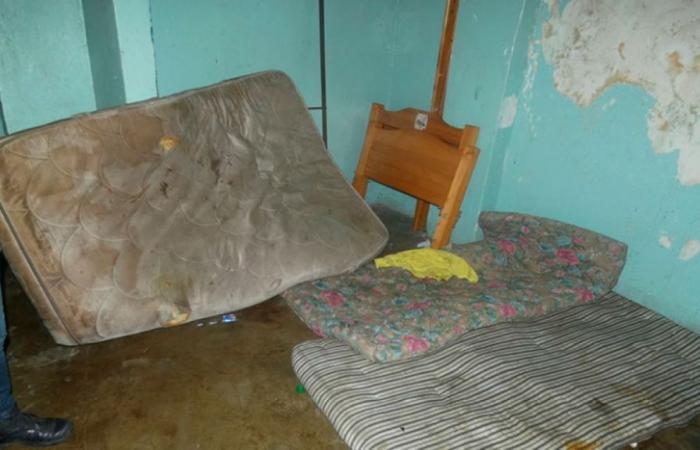 They close residences in which they found mice, human excrement and urine on the mattresses