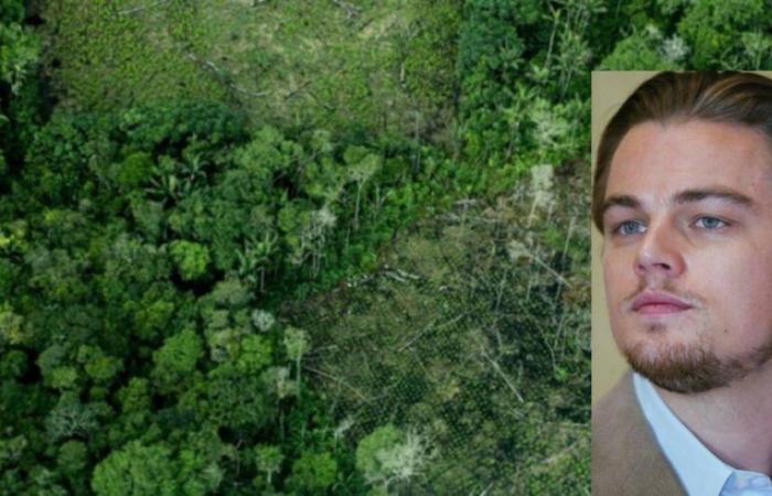 Bill supported by Leonardo DiCaprio that sought to stop deforestation in the Amazon sank