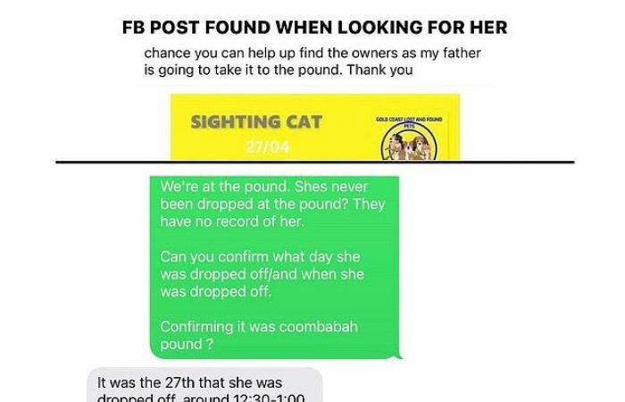 The Gold Coast influencer breaks down in tears as she is finally reunited with her beloved Bengal cat after he was ‘stolen’ and missing for months.