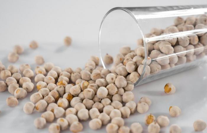 A very healthy option: Harvard revealed the reason why it is advisable to soak chickpeas