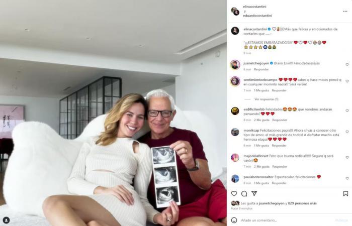 Elina and Eduardo Costantini announced that they are pregnant: “More than happy and excited”
