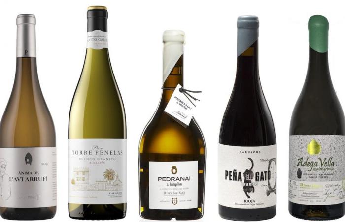 Five good unique wines made with granite (you read that right) | Drink | Gastronomy