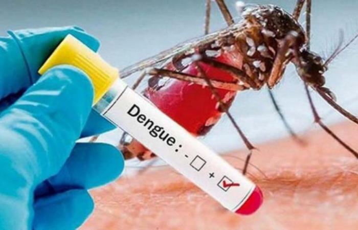 Dengue Alert! 40% of the department’s cases are registered in Montería