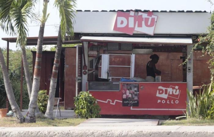 The famous Ditú coffee shops return to Cuba after years of abandonment