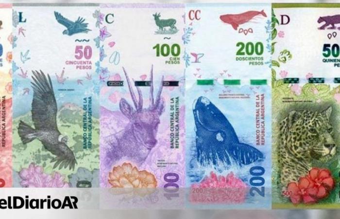 These are all the legal tender bills in Argentina in June 2024