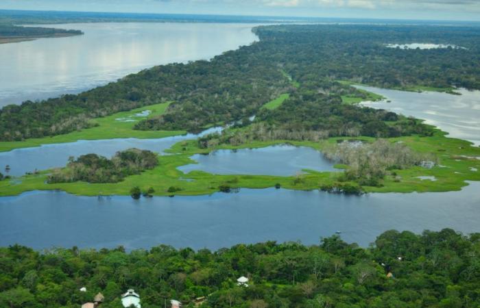 Tarapoto Lakes: when tourism threatens one of the best preserved sites in the Amazon