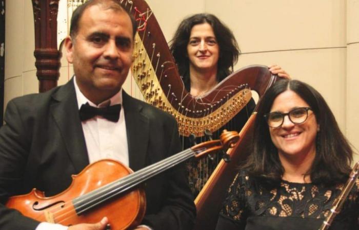 Sounds of harp, flute and viola in a new concert by the Mozarteum Argentino – Filial Salta