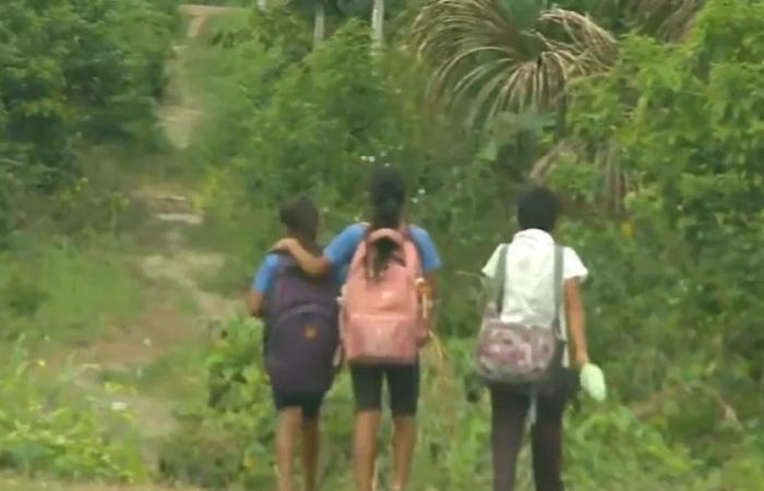 Amazonas: three rapists fled and a girl is forced to give birth after sexual assault, Awajún teacher denounces