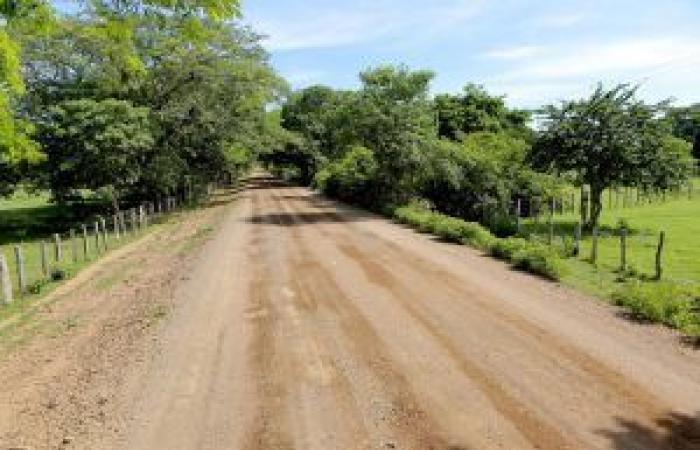 Valledupar Mayor’s Office promotes progress in Los Venados with 7.3 kilometers of paving – Cesar Noticias