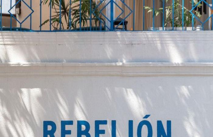 Rebellion – Cantina del bien / cupla Arquitectura