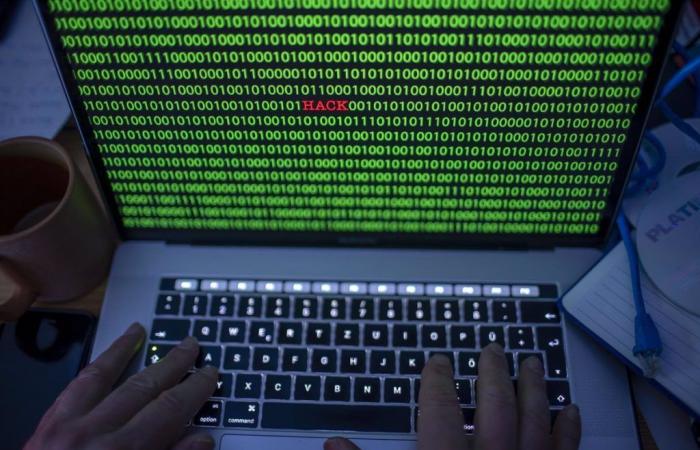 La Rioja registers more than 2,000 computer crimes in 2023, 5.3% less than a year ago