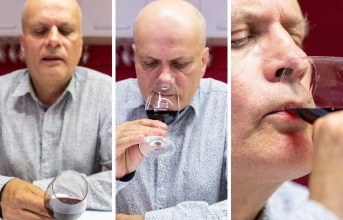 How to enjoy wine step by step