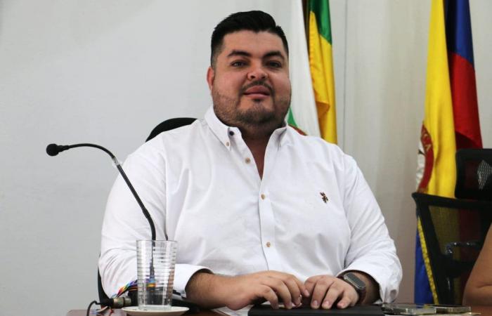 Draft agreement filed by councilors Juan Diego Amaya and Sebastián Prieto, which aims to regulate parades