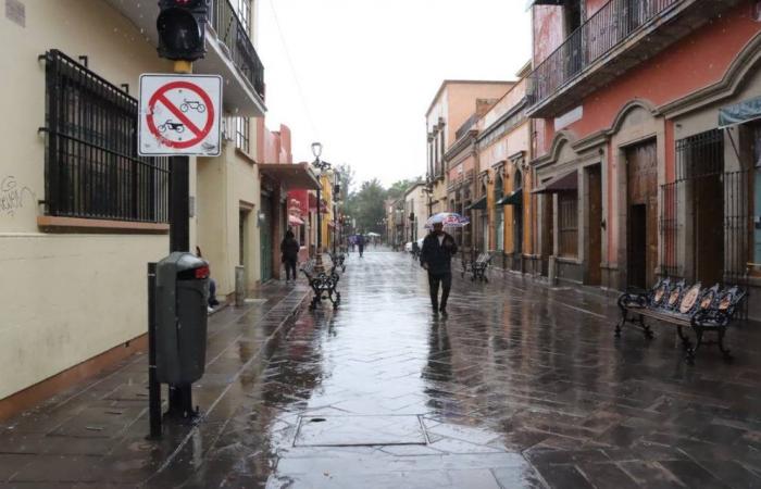 Uncommon, invasion of pedestrian areas with cars in SLP: SSPC – El Sol de San Luis