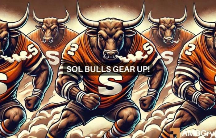 Solana’s Short-Term Potential: Can SOL Bulls Trigger a Rally?