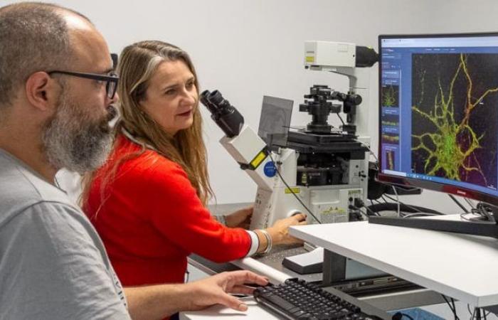 UNC incorporated a state-of-the-art “super” microscope