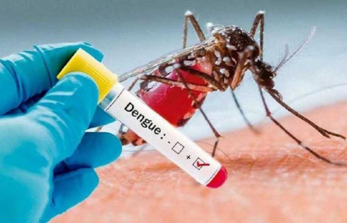 The health emergency due to dengue is maintained in the Epidemiological Surveillance Committee in Casanare