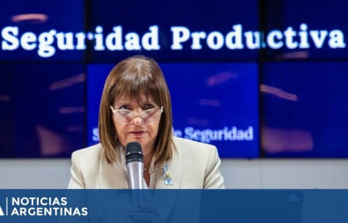 Patricia Bullrich will travel to Paraguay to advance with the search for Loan