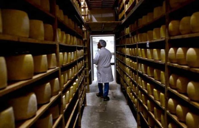 680 tons of Sancor cheese to be auctioned