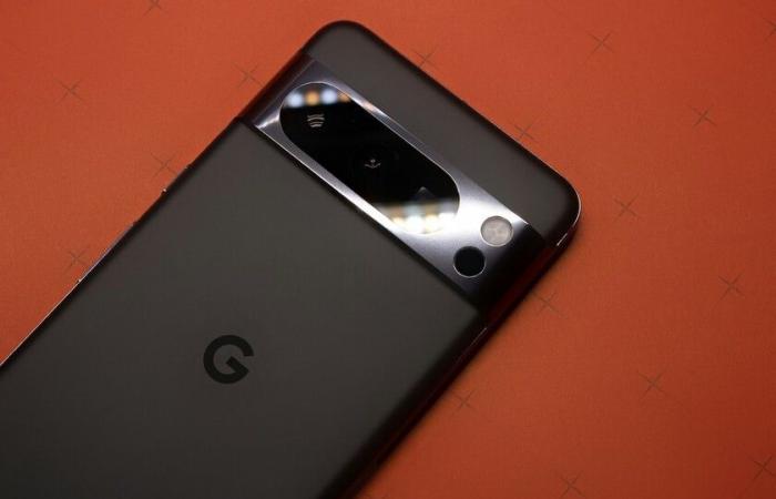 Google accidentally reveals the first details of the Pixel 9 Pro XL, its next great smartphone