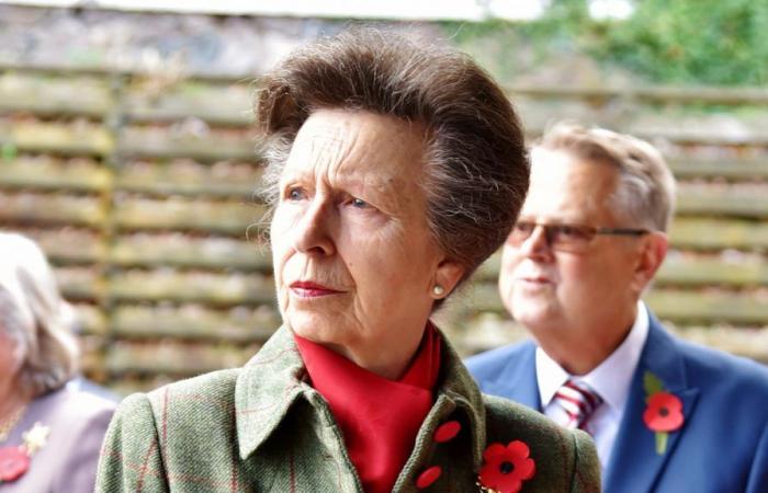Princess Anne, admitted after an accident